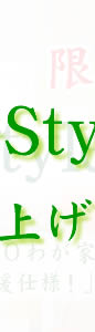 LЃnEZbgZ̔FFH-Styles[Jp[g2 F2